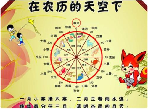 估耸二十期期碰打一生肖精选解析、解释与落实、精准解答解释落实