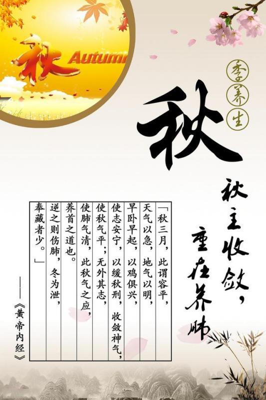 今期生肖运到时留住三八把五配打一生肖仔细释义、解释与落实、综合解答解释落实
