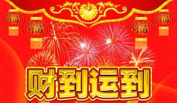 一飞冲天是什么生肖请全面释义、解释与落实、构建解答解释落实