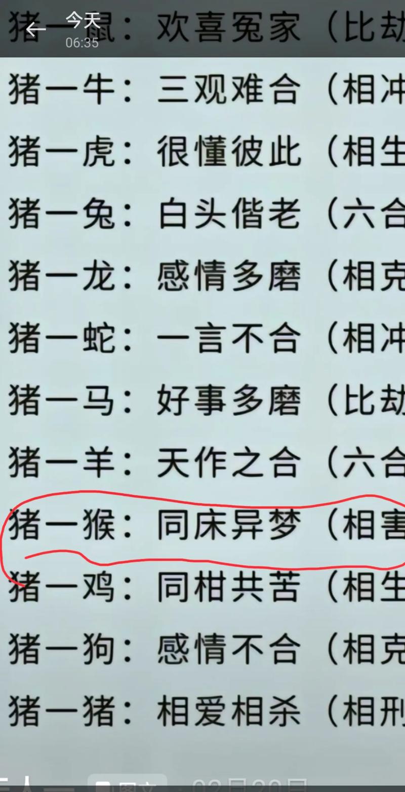 今期猪鼠鸡出特，二三沧海三桑田打一精准生肖请全面2释义、解释与落实、前沿解答解释落实