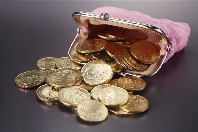 金银财宝打一准确生肖，全面释义、科学解答解释落实